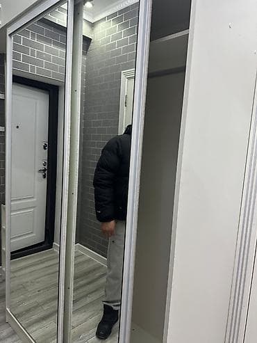 Книжные шкафы: Шкаф-прихожая, Б/у, С зеркалом — 2