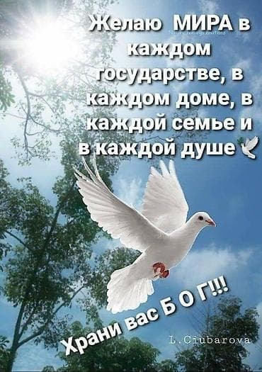 Сниму. квартиру. в городе. кемин. на долгий. срок. без. детей