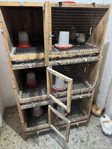 будка собаки: Продается клетка — 5