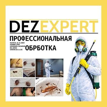 Клининговые услуги: Профессиональная дезинсекция от тараканов — DEZEXPERT - — 1