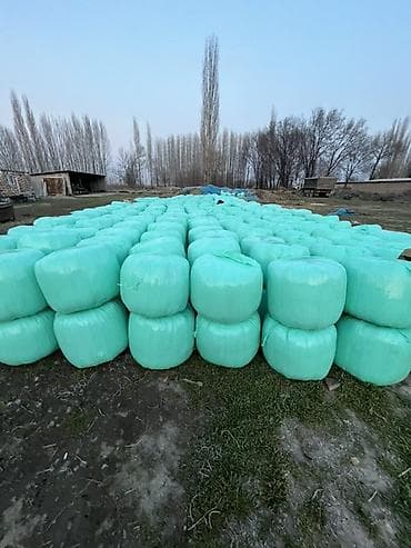 бука ош: Кукурузный силос в бобинах качество высшее яму свежую открывал Цена — 1