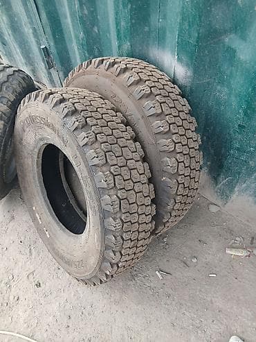 mini v: Шины грузовые Roadstone Professional M+S W-502 - Размер: 225/85 R15 — 2