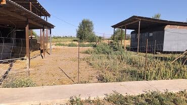 продаю дом бишкек арча бешик: Жилой модуль/бытовка из сэндвич‑панелей - Планировка: две — 18