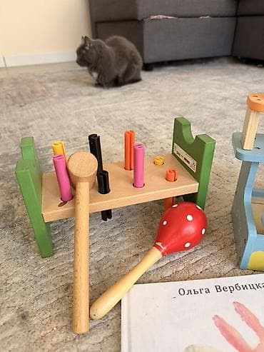 развивашки для детей: Большой б/у сет развивающих детских игрушек Состав: - Деревянный — 6