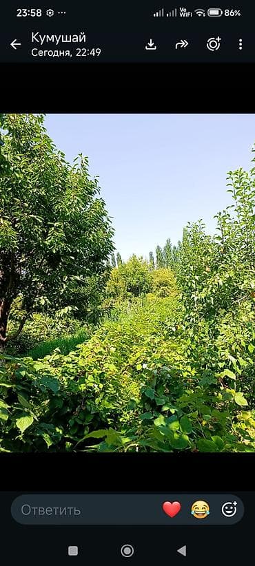 гик цены на квартиры бишкек: Продаётся дом с большим участком и садом . Беловодское село Темен — 6