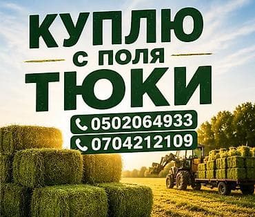 сена тук: Куплю с поля тюки — 1