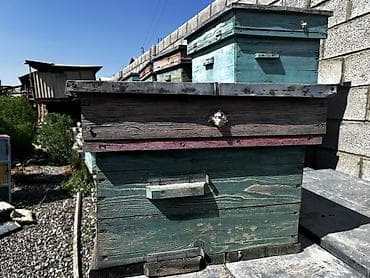 набор кульч: Деревянный Ящик, Б/у — 10