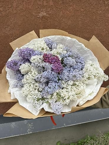 цветочная: Букеты из душистой сирени Ветка 60 сом пишите по номеру: - Состав — 1