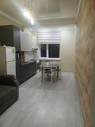 5 микр: 46 м², С мебелью — 8