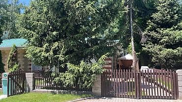 Ысык-Көлдө эс алуу: Коттедж, Радуга, Сары-Ой, 10 орун — 3