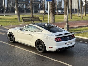 ford mustang бишкек: Ford Mustang: 2020 г., 2.3 л, Автомат, Бензин, Купе — 4