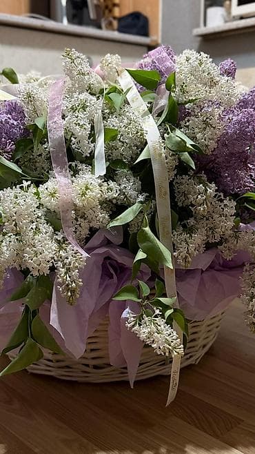 фиалки купить: Срочно! Огромная корзина свежей сирени всего за 2500с! 🌸 Невероятный — 10