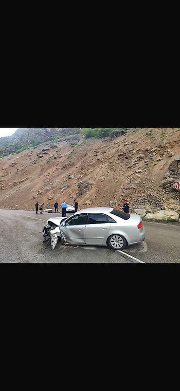 перила нержавейка: Разбор на запчасти — Audi A4 (B7), седан, серебристый цвет. Авто — 6