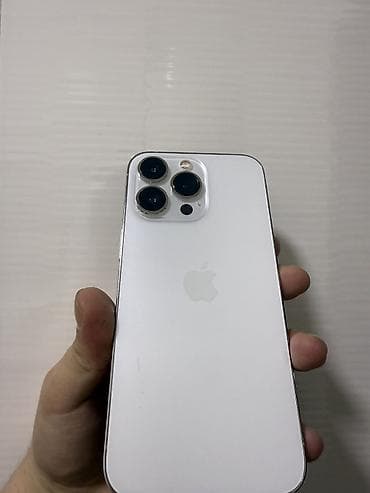 фото на памятник: IPhone 13 Pro, Серебристый — 1