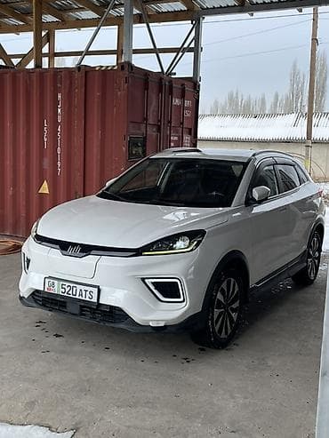 Weltmeister: Weltmeister EX5, 2020 г. — 1