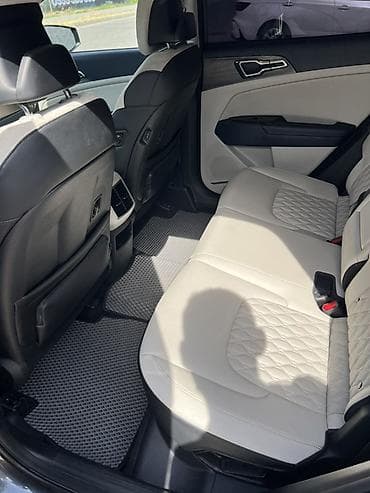 30000: Kia Sportage: 2024 г., 2 л, Автомат, Газ, Кроссовер — 10