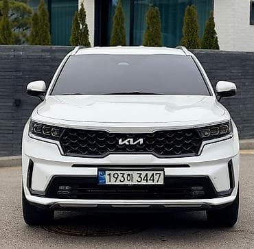 номерник для авто: Kia Sorento: 2022 г., 1.6 л, Автомат, Гибрид, Кроссовер — 3