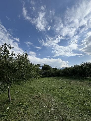 Недвижимость: 10 соток, Для строительства, Красная книга — 9