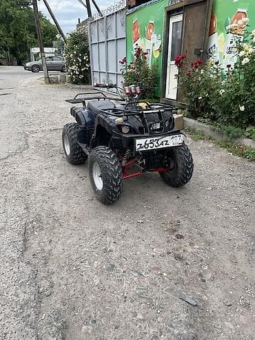 квадроцикл 125: Квадроцикл Yamaha, Бензин, 200 куб. см, Взрослый — 3