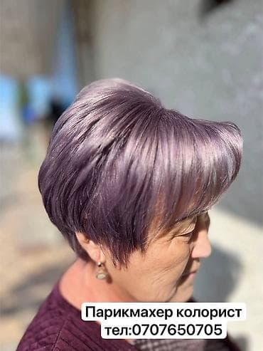 стрижка животных на дому: Парикмахер, Покраска, Вечерние прически, Выпрямление, С выездом на дом — 6