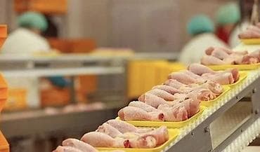 семейная пара ищет работу: Место работы Нижегородская область, Павловский район, Долгово, в — 1
