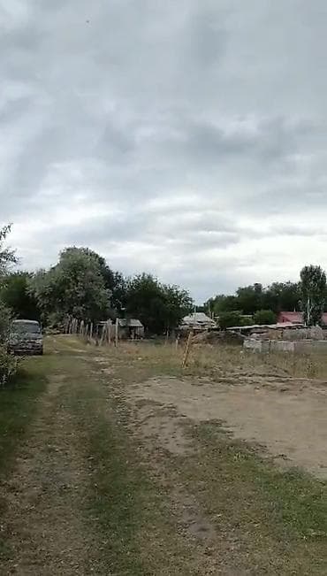 Жер тилкелери: 16 соток — 4