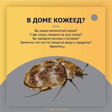 масляный обогреватель цена: Услуги по обслуживанию и ремонту бойлеров. Что делаем: - — 5