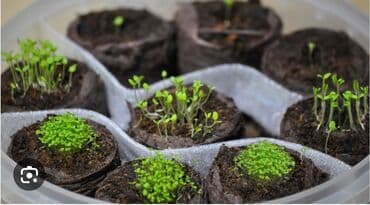 Удобрение Гумус, Самовывоз