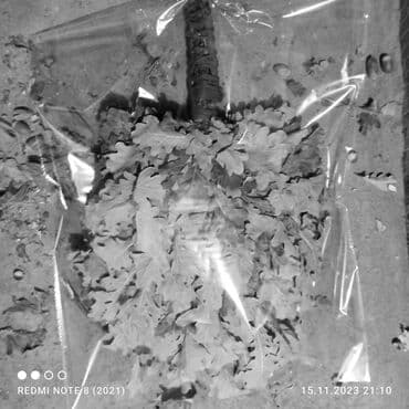 домашнее кресло: Дубовый веник для баня — 4