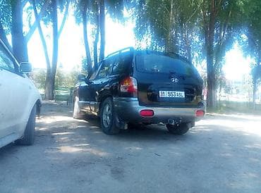 синбей групп: Hyundai Santa Fe: 2001 г., 2.4 л, Механика, Бензин, Кроссовер — 4