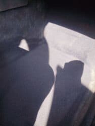 дополнительный свет: Audi A4: 1998 г., 1.6 л, Механика, Бензин, Универсал — 19