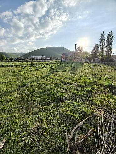 земля в беловодске: 5 соток, Красная книга — 8