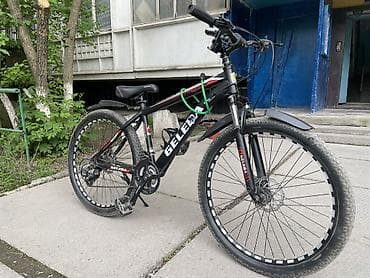 diska 13: Горный велосипед, Geleda, Сталь — 2