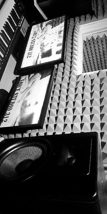 pro m1: Студия звукозаписи, делаем аранжировки,каверы. аппаратура немецкая — 5