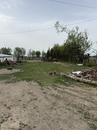участок карпинка: Продаётся участок с хоз двором в городе Каракол, улица Масанчы, свет — 2