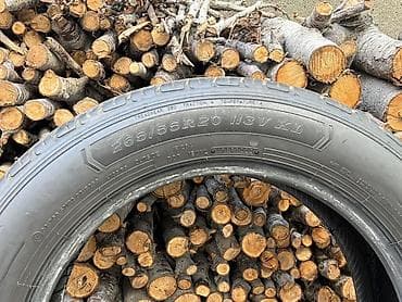16 lt: Шины 265 / 55 / R 20, Лето, Комплект, Внедорожные (АТ/МТ), DUNLOP — 3