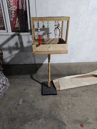 мака пайа: Канаттуулардан коргоочу торлор — 2