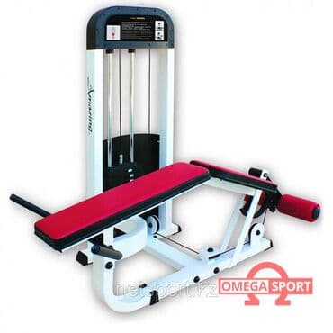 тренажер для ног домашний: Сгибание ног лежа Марка: Amazing Назначение:Профессиональное Система — 1
