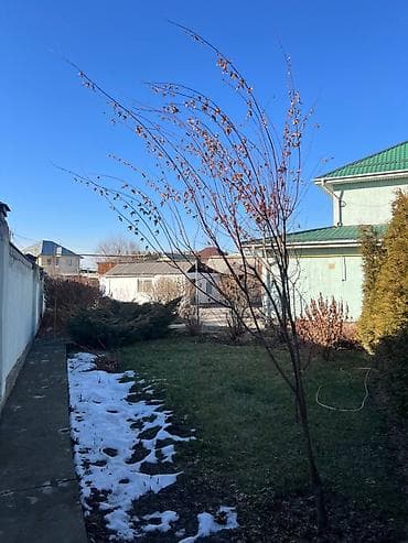 участок в селе джал: 8 соток, Для сельского хозяйства, Красная книга, Тех паспорт, Договор купли-продажи — 1