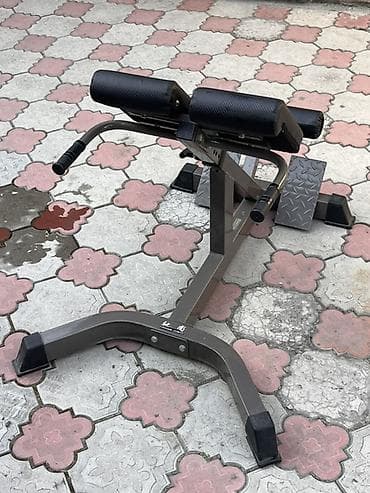 Спорт жана эс алуу: Булчуң машыктыргыч, Гиперэкстензия, Арка үчүн, Колдонулган, Өзү алып кетүү, Акылуу жеткирүү — 3