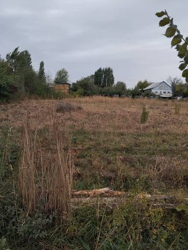 купить участок в бишкеке недорого: 8 соток, Для бизнеса, Красная книга — 9