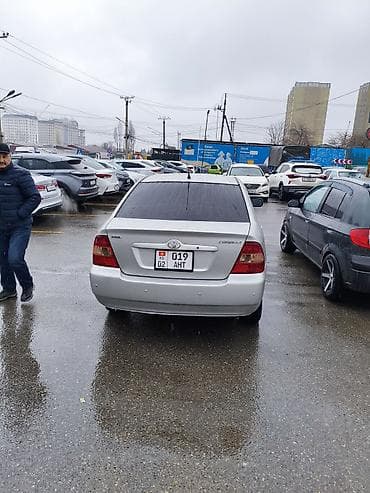 Toyota: Toyota Corolla: 2006 г., 1.6 л, Автомат, Бензин — 6