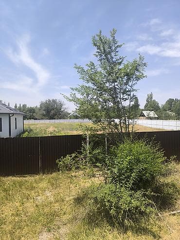 15 соток, Договор купли-продажи