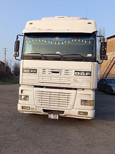 виндом 2005: Тягач, DAF, 1999 г., Без прицепа — 5