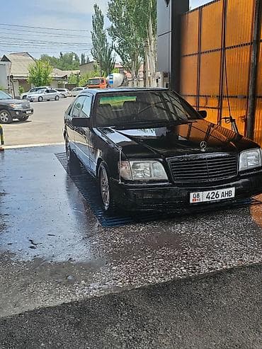 Mercedes-Benz S-Class: 1994 г., 5 л, Автомат, Бензин, Седан — 3