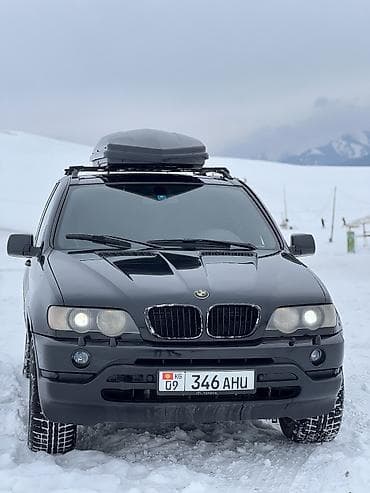 BMW X5: 2003 г., 3 л, Типтроник, Дизель, Кроссовер