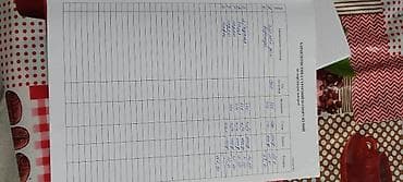 агенства: Продаётся дом с участком с.Лебединовка по.Победы дом 164 ( Жибек-Жолу) — 4