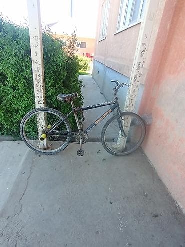 скутер ош: Шаардык велосипед, Велосипед алкагы M (156 - 178 см) — 4