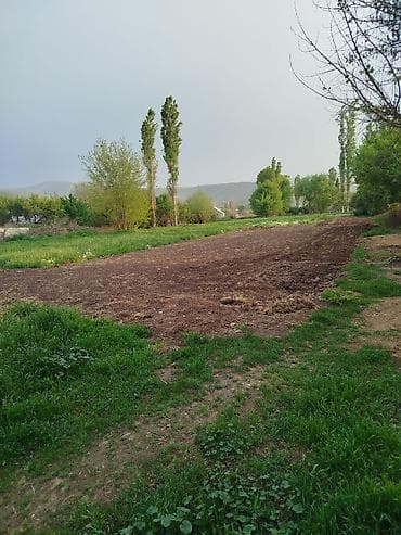 участок панорама: 6 соток, Для сельского хозяйства — 1