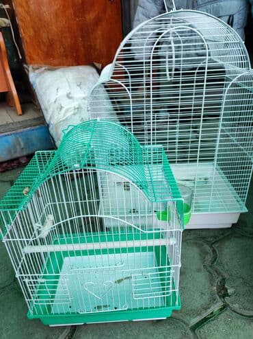 акустические системы atrix колонка в виде собак: Продаю клетку для птиц. Маленькая 1000 сом, . Телефон — 2